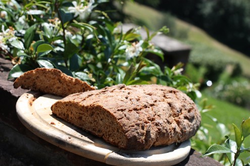 Rustic Italian Bread