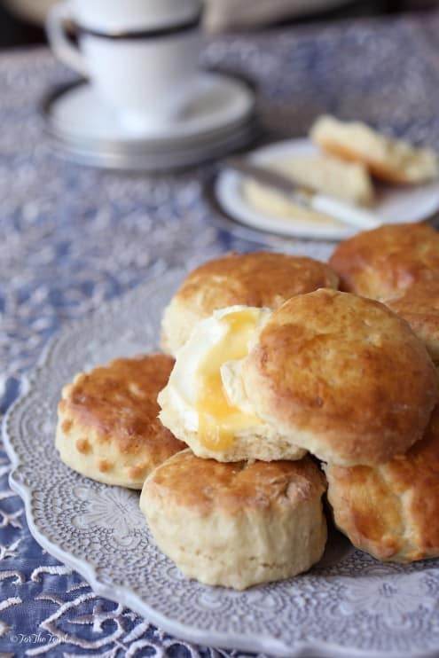 Devonshire Cream Scones