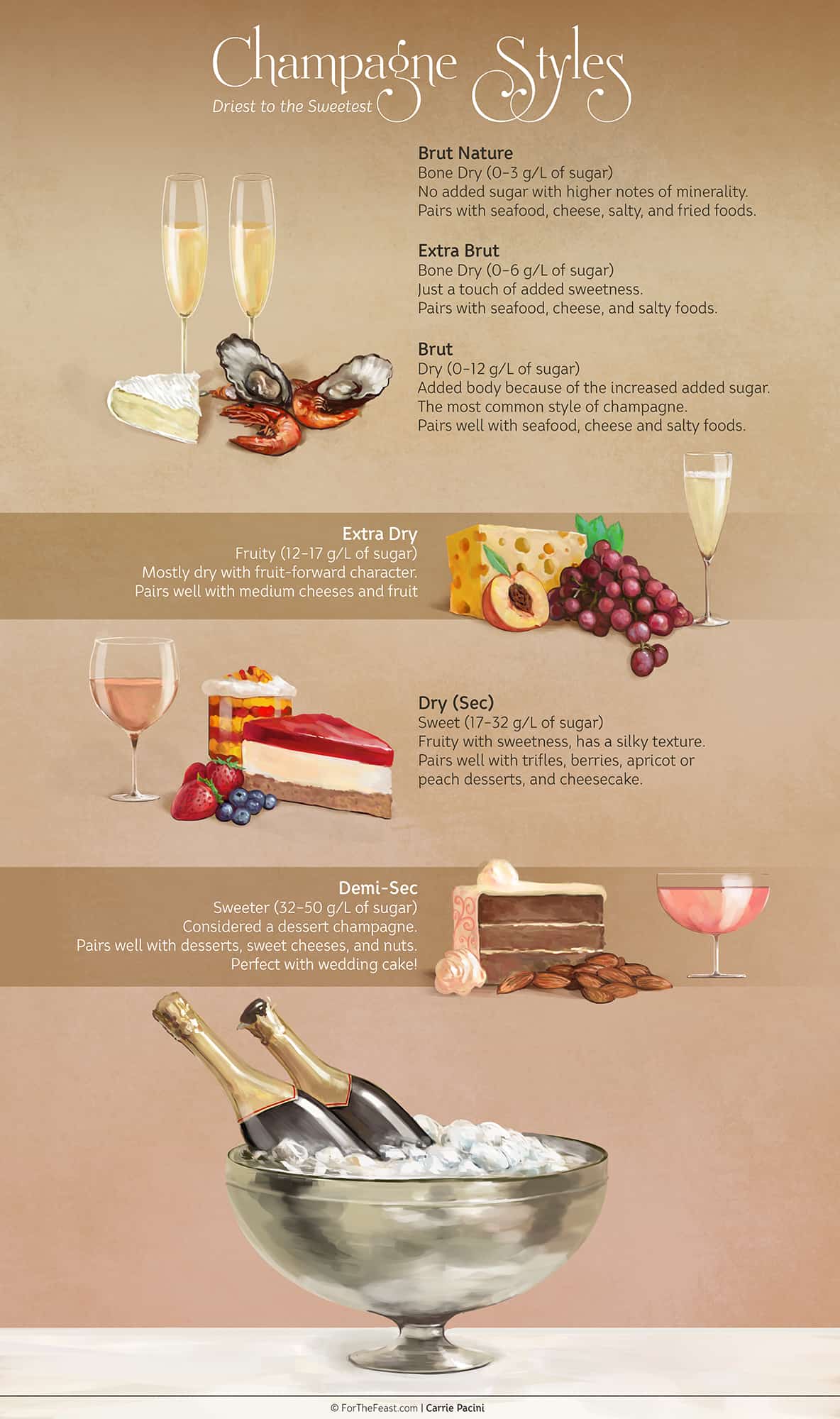 A Guide to Champagnes