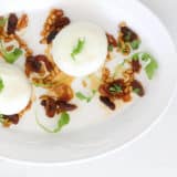 burrata appetizer